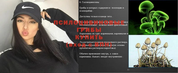 спиды Волосово
