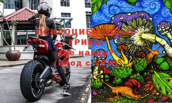jwh Володарск