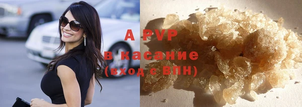 сатива Волоколамск