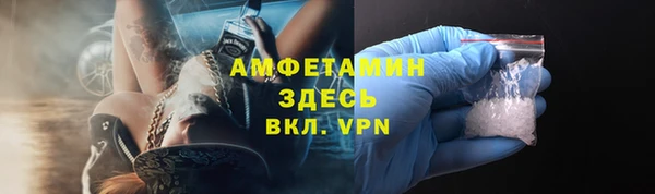сатива Волоколамск