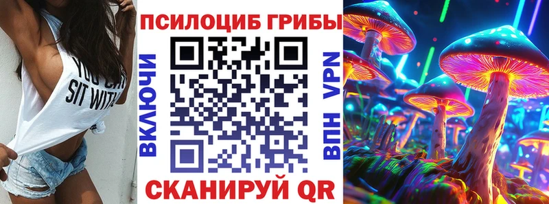 MEGA tor  наркотики  Элиста  Галлюциногенные грибы прущие грибы 
